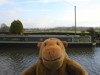 Mr Monkey looking towards Lyme Park