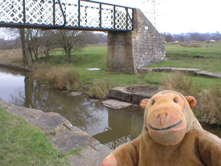Mr Monkey looking at the Hagg Farm footbridge