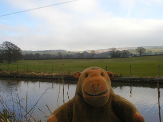 Mr Monkey looking at Lyme Park from the Macclesfield Canal