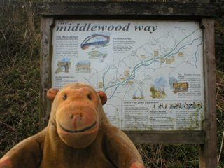 Mr Monkey looking at the Middlewood Way map at Wood Lanes