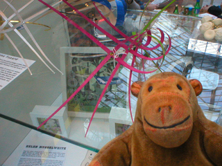 Mr Monkey looking at headpieces by Emma Fozard