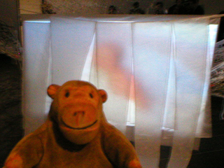 Mr Monkey looking at a video screen shrouded in white cloth