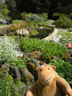 Mr Monkey looking at the Pond Rockery