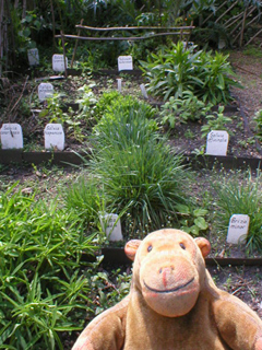 Mr Monkey looking at one of the history beds