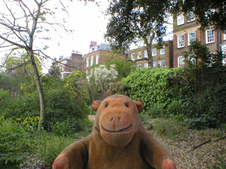 Mr Monkey looking at the houses on Swan Walk