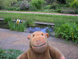 Mr Monkey looking at the fortune's Tank pond