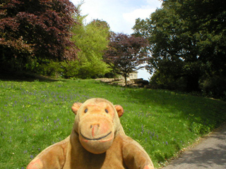 Mr Monkey walking down the main path at the American Museum