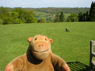 Mr Monkey watching a crow on the lawn overlooking the Claverton valley