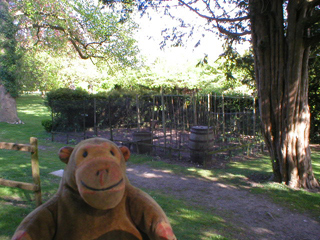 Mr Monkey looking at the colonial vegetable garden
