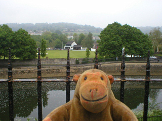 Mr Monkey looking across the Avon to Bath cricket ground