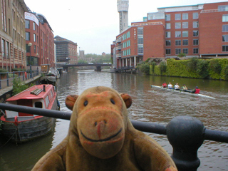 Mr Monkey scampering along the harbour path