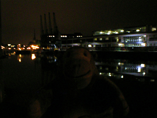 Mr Monkey looking at the Bristol Museum site across the floating harbour 