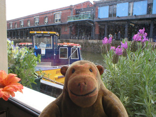 Mr Monkey looking out of the window at the Ferry Station