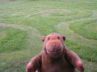 Mr Monkey looking at the labyrinth on Brandon Hill