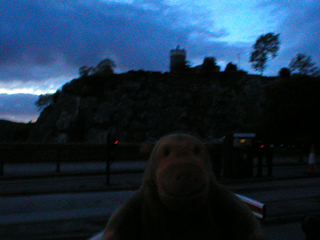 Mr Monkey looking up at the Clifton observatory