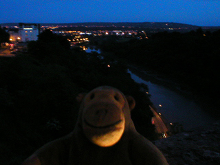 Mr Monkey looking at Clifton and Hotwells at night