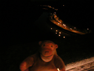 Mr Monkey looking down on the Avon and the A4
