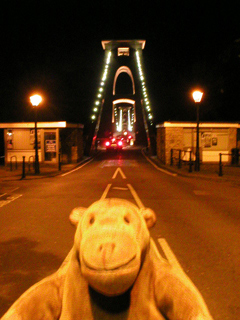 Mr Monkey watching cars crossing the bridge at night 