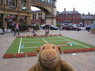 Mr Monkey looking at at the astroturf square