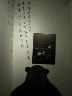 Mr Monkey looking at a photo with Chinese characters painted beside and over it