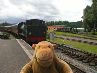 Mr Monkey watching a train arrive at Rowsley South