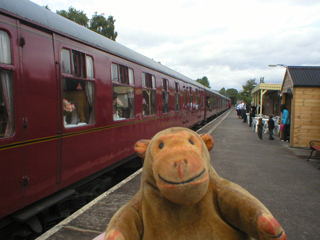 Mr Monkey looking along the stationary train
