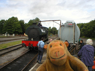 Mr Monkey watching the locomotive being filled with water
