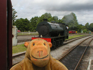 Mr Monkey watching the locomotive passing the carriages