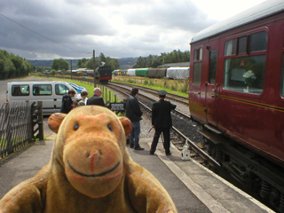 Mr Monkey waiting for the locomotive to reverse