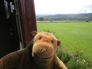 Mr Monkey looking out of the compartment window
