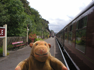 Mr Monkey looking along Darley Dale station platform