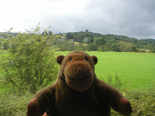 Mr Monkey looking at fields and hills from the compartment window