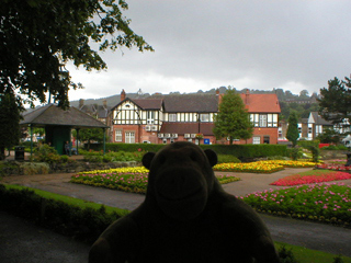 Mr Monkey looking at buildings around Hall Leys park