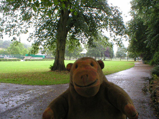 Mr Monkey looking across Hall Leys park