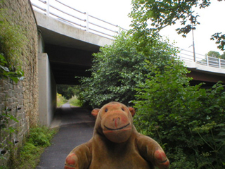 Mr Monkey walking under the road bridge 