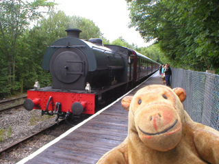 Mr Monkey watching the train arrive at Matlock Riverside