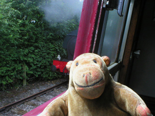 Mr Monkey watching the locomotive reversing past his compartment window
