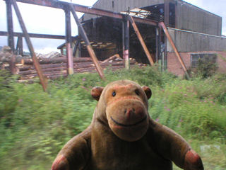 Mr Monkey looking at buildings beside the track