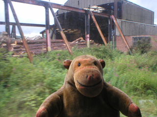 Mr Monkey looking at buildings beside the track