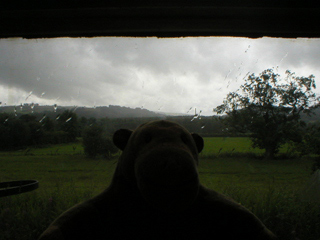 Mr Monkey looking at fields being rained on