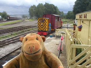 Mr Monkey waiting for the narrow gauge train to arrive