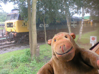 Mr Monkey looking at a Class 47 diesel