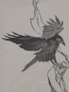 One of Rachel Goodyear's sinister birds