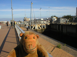 Mr Monkey looking at the lock between the Montgomery dock and the marina