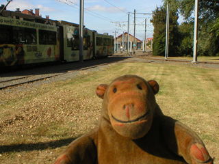 Mr Monkey looking at a tram outside the Knokke tram depot