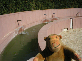 Mr Monkey looking at the water filled basin at the end of the labyrinth