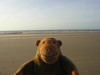 Mr Monkey looking out to sea