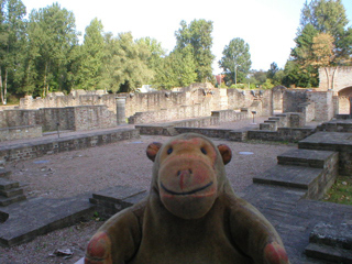 Mr Monkey looking across the ruins of the abbey