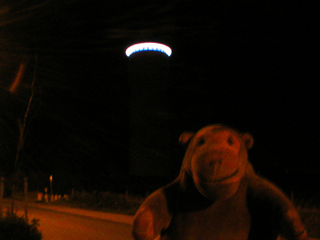 Mr Monkey looking up at Salacia by Tamar Frank