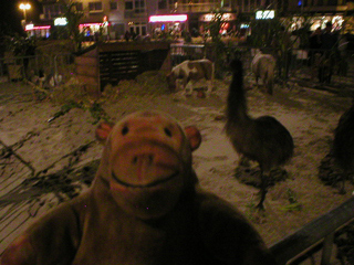Mr Monkey looking at a menagerie near the Westende Casino